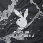 coelho-da-playboy