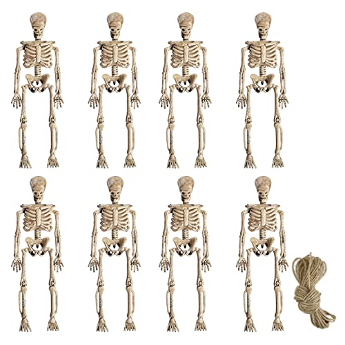 esqueleto-de-casa